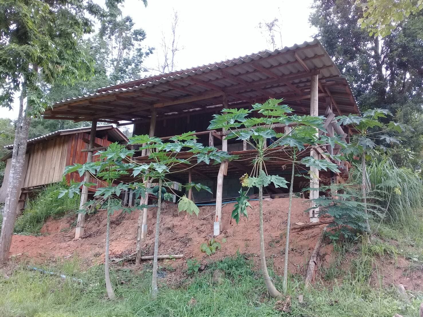 ChangChill Home Stay